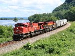 CP 7006